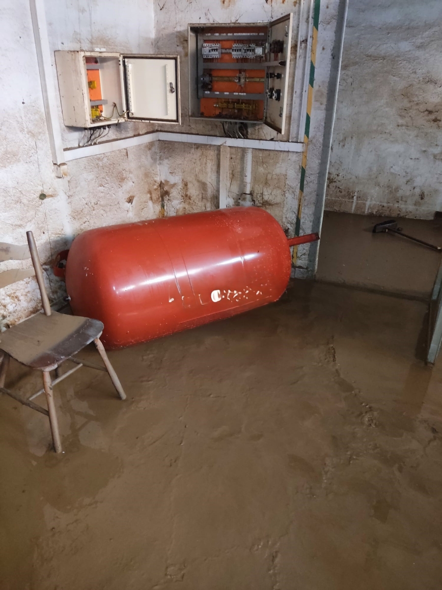 NEC - Nysa Komunikat nr 8